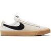 Chaussures de Skate Nike SB Zoom Blazer Pro