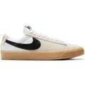 Skate & rollers sur Grenoble : Chaussures de Skate Nike SB Zoom Blazer Pro