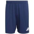 Shorts/Bermuda sur Grenoble : Short adidas SPODENKIADIDASJZ2513ENTRADA26GRANAT