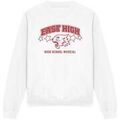 Sweat-shirt High School Musical East High Pull sur Grenoble : Sweat-shirt High School Musical East High