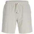 Shorts/Bermuda sur Grenoble : Short Jack & Jones 192776VTPE26