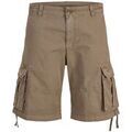 Shorts/Bermuda sur Grenoble : Short Jack & Jones 12293343 COLE ANTHONY-CROCODILE
