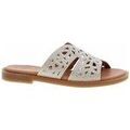 Mules femme sur Grenoble : Mules Remonte D364762