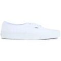 Baskets homme sur Grenoble : Baskets basses Vans Authentic Formateurs
