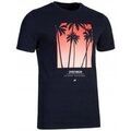 Tee-shirts sur Grenoble : T-shirt 4F TSM046