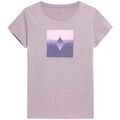 Tee-shirts sur Grenoble : T-shirt 4F TSD061