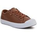 Baskets basses Palladium Pallaphoenix Grenoble