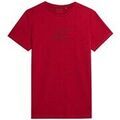 Tee-shirts sur Grenoble : T-shirt 4F H4L22TSM01661S