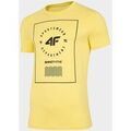 Tee-shirts sur Grenoble : T-shirt 4F H4L22TSM03373S