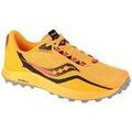 Chaussures Saucony Peregrine 12