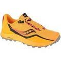 Chaussures Saucony Peregrine 12