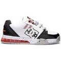 Baskets homme sur Grenoble : Baskets basses DC Shoes Versatile LE Ibb