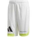 Pantalon adidas The Pack Basketball Grenoble