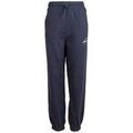 Pantalons sur Grenoble : Pantalon Tommy Hilfiger DW0DW11886C87S