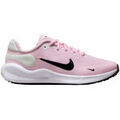 Running sur Grenoble : Chaussures Nike Ebernon