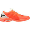 Running sur Grenoble : Chaussures Mizuno Wave Lightning Z7