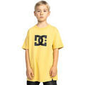 Tee-shirts sur Grenoble : T-shirt DC Shoes DC Star