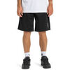 Short DC Shoes No Hitter