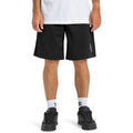 Shorts/Bermuda sur Grenoble : Short DC Shoes No Hitter