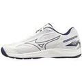 Chaussures Mizuno Cyclone Speed 4