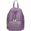 Sacs &agrave; dos sur Grenoble : Sac a dos Gave Lux Sac &agrave; dos GLX220651523FBG Violet