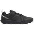 Baskets homme sur Grenoble : Baskets Timberland Baskets WINSOR TRAIL LOW LACE UP