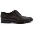 Ville basse Alberto Chaussures &agrave; lacets Marron