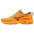 Running sur Grenoble : Chaussures Mizuno Wave Rider Gtx