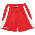 Pantalons sur Grenoble : Pantalon Spalding Jam Shorts