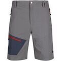 Shorts/Bermuda sur Grenoble : Short Trespass Dalham