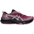 Running sur Grenoble : Chaussures Asics Geltrabuco 12