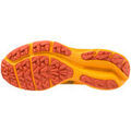 Running sur Grenoble : Chaussures Mizuno Wave Gtx