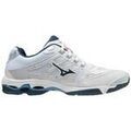 Running sur Grenoble : Chaussures Mizuno Wave Voltage