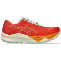 Running sur Grenoble : Chaussures Asics FUJISPEED 3