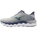 Running sur Grenoble : Chaussures Mizuno Wave Horizon 8