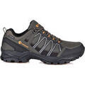 Randonn&eacute;e sur Grenoble : Chaussures Neak Peak FOCUS LOW Vert