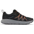 Chaussures Columbia PEAKFREAK ROAM Noir