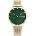 Femmes sur Grenoble : Montre Tommy Hilfiger ty556250