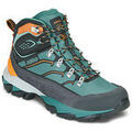 Randonn&eacute;e sur Grenoble : Chaussures Asolo ACADIA MID GTX Vert