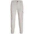 Jeans/Pantalons sur Grenoble : Pantalon Jack & Jones 161349VTPE25