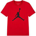 Polos sur Grenoble : Polo Nike TE-S/S TEE
