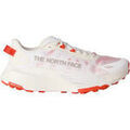 Running sur Grenoble : Chaussures The North Face M ALTAMESA 500 V2