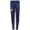 Sportswear sur Grenoble : Jogging Puma Surv&ecirc;tement Bleu