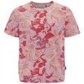 Tee-shirts sur Grenoble : T-shirt Schneider Sportswear -