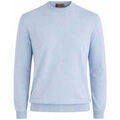 Pull Filippo De Laurentis -