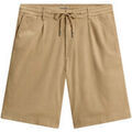 Shorts/Bermuda sur Grenoble : Short Woolrich Poplin GD