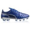 Chaussures de foot Puma 10498304
