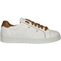 Baskets homme sur Grenoble : Baskets basses Exton 100