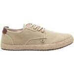 Baskets basses Refresh 171721