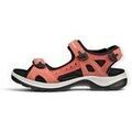 Sandales / Nu-pieds femme sur Grenoble : Sandales Ecco 06956361539